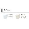 CES9C30Pのカラー